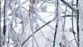 Frío extremo en Europa: dos grados menos pueden ser fatales