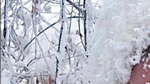 Frío extremo en Europa: dos grados menos pueden ser fatales