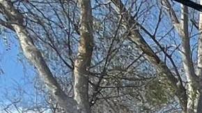 un bombero resultó herido y fue trasladado a un hospital, donde permanece en condición estable.