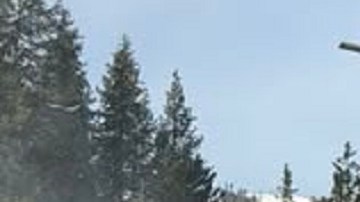 Otras dos personas que los acompañaban sobrevivieron y lograron activar un dispositivo satelital de emergencia