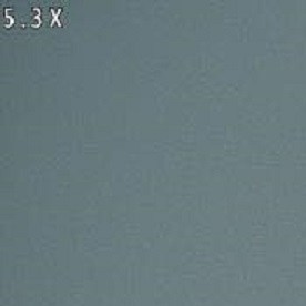 El sospechoso fue identificado como Salko Husejnovic, quien enfrenta cargos de asesinato, manipulación de pruebas físicas y maltrato de cadáver