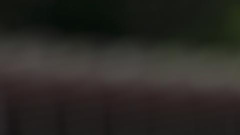 Ataques dejaron 56 militares cubanos y venezolanos muertos