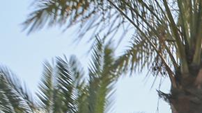 Las autoridades israelí informaron que Gvili "podría haber sido enterrado en la zona" donde se realizaban las búsquedas.