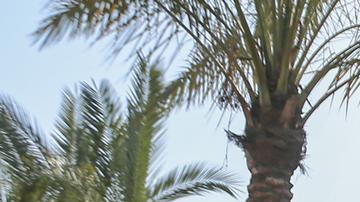 Las autoridades israelí informaron que Gvili "podría haber sido enterrado en la zona" donde se realizaban las búsquedas.