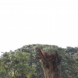 Uno de los dos lanzamisiles Buk destruidos en la base aérea militar de La Carlota, en Venezuela.