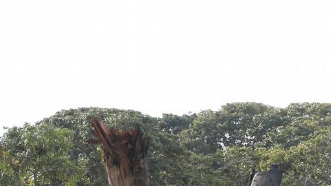 Uno de los dos lanzamisiles Buk destruidos en la base aérea militar de La Carlota, en Venezuela.