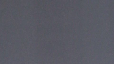 María Celeste Arrarás