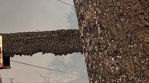 A un año de los incendios de LA, muchas familias todavía enfrentan incertidumbre.