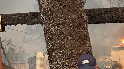 A un año de los incendios de LA, muchas familias todavía enfrentan incertidumbre.