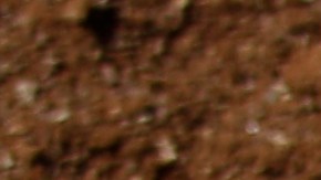 La Liga Venezolana de Beisbol Profesional (LVBP) atraviesa su ronda de playoffs.