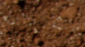 La Liga Venezolana de Beisbol Profesional (LVBP) atraviesa su ronda de playoffs.