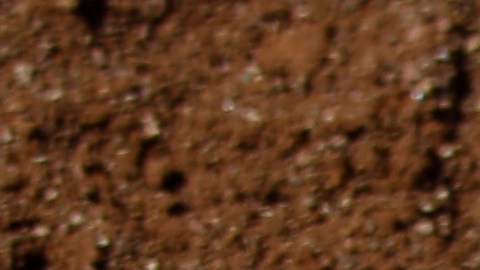 La Liga Venezolana de Beisbol Profesional (LVBP) atraviesa su ronda de playoffs.