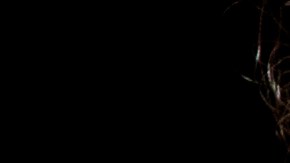 Trump advierte a Cuba de que no recibirá más petróleo ni dinero de Venezuela