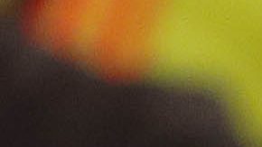 El caso de Harold David Morales ha conmocionado a los fans colombianos.