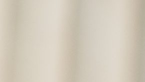 U.S. activist Medea Benjamin, co-founder of the anti-war group Code Pink hols a sign that reads "Tanks But No Tanks DC Residents as she speaks at a news conference in front of the Lincoln Memorial near where workers set up for President Donald Trump's 'Salute to America' event honoring service branches on Independence Day, Wednesday, July 3, 2019, in Washington. The group is upset by restrictions against flying their "Trump Baby" balloon tomorrow. (AP Photo/Andrew Harnik)