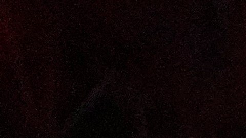 Teófimo López se encuentra listo para una gran pelea este 31 de enero