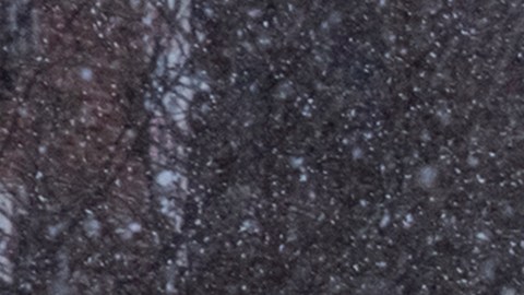 El temporal deja más de 700,000 hogares sin electricidad en EEUU, principalmente en el sur