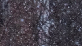 El temporal deja más de 700,000 hogares sin electricidad en EEUU, principalmente en el sur