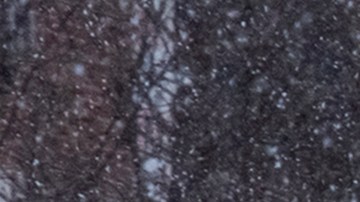 El temporal deja más de 700,000 hogares sin electricidad en EEUU, principalmente en el sur