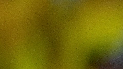 Fans of Colombia cheer during the Copa America final soccer match against Argentina in Miami Gardens, Fla., Sunday, July 14, 2024. (AP Photo/Rebecca Blackwell)