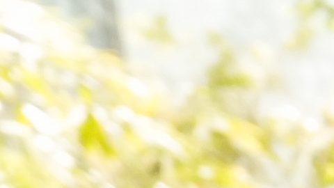 Checo Pérez, quien cumple 37 años, vestirá los colores de Cadillac esta temporada 2026.