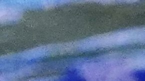 La participación de atletas trans ha generado debates en el mundo del deporte.