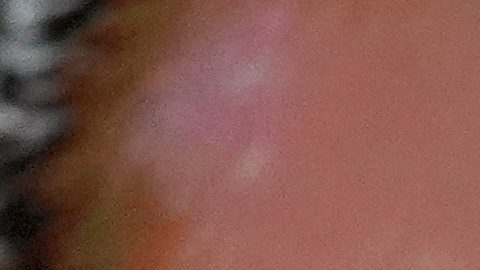 Mike Tyson perdió contra Jake Paul en su último combate.