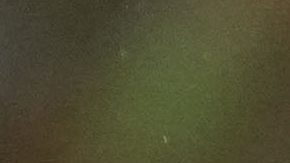 Guillermo Ochoa tiene 11 partidos disputados en Mundiales.