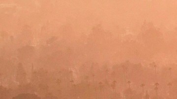 Smoke lingers over a neighborhood devastated by the Eaton Fire, Thursday, Jan. 9, 2025, in Altadena, Calif.