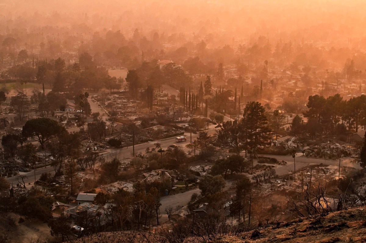 Image for As LA Burned, Trump Fanned the Flames of the Next Disaster