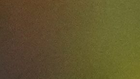 Gonzalo Valle (22) choca las manos con Moisés Caicedo durante un partido de la selección ecuatoriana.