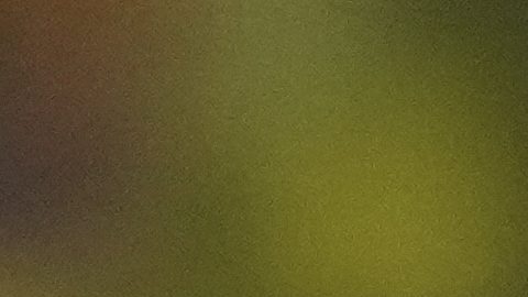 Gonzalo Valle (22) choca las manos con Moisés Caicedo durante un partido de la selección ecuatoriana.