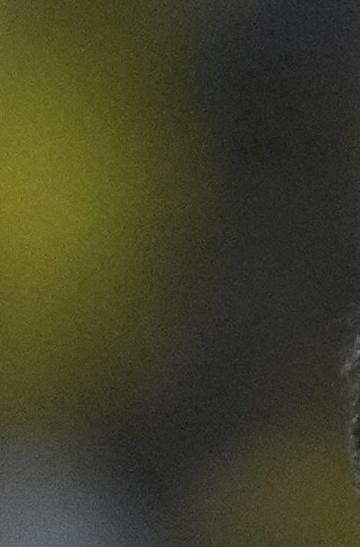 Gonzalo Valle (22) choca las manos con Moisés Caicedo durante un partido de la selección ecuatoriana.