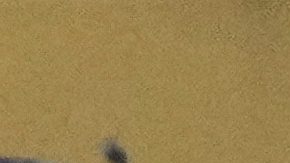 México no llega con altas expectativas a la Copa del Mundo.