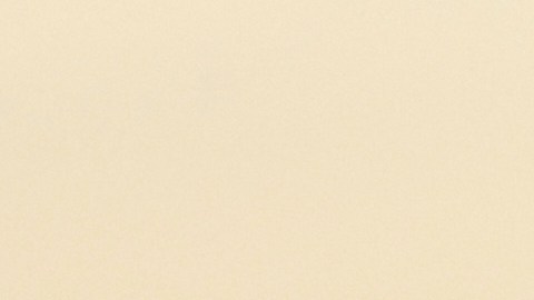 Los pasajeros escucharon gritos y golpes desde el interior del avión, que debió regresar a la puerta.