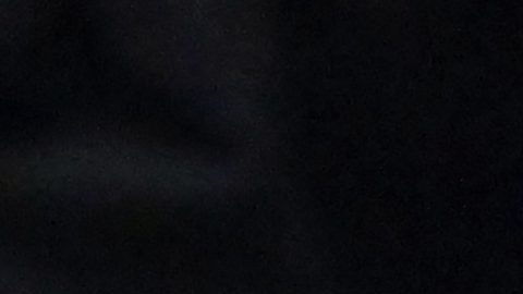 Canelo solo tendrá un combate en 2026