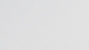 Miles de inmigrantes detenidos y protestas a nivel nacional dominan el primer año de Trump en el poder.