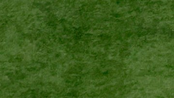 FILE - The NFL shield is displayed at midfield during the Super Bowl 59 NFL football game, Feb. 9, 2025, in New Orleans. (AP Photo/Adam Hunger, File)