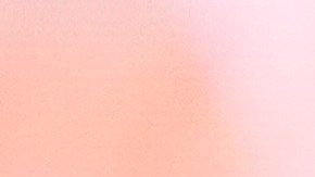 CIA utilizó fuente interna para vigilar a Maduro antes de su captura, según el NYT