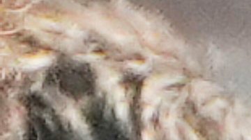 Messi ha sido nombrado en varios temas de Bad Bunny.