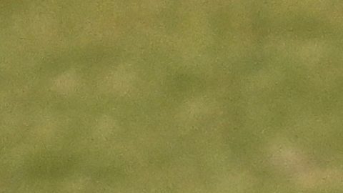 Messi reveló cómo es dentro de su hogar.