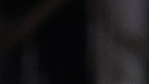 Marc-Andre ter Stegen será cedido por 6 meses.