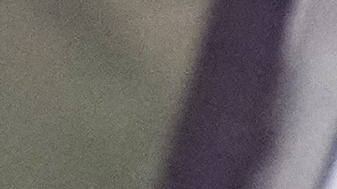 Joshua venía de derrotar a Jake Paul en un combate.