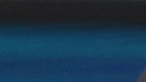 Venus Williams no pudo superar a la polaca Linette.