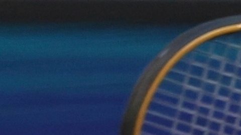 Venus Williams no pudo superar a la polaca Linette.