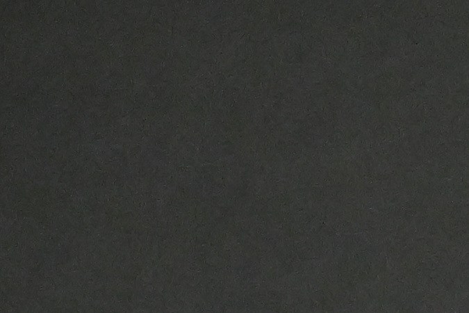 Dave Canales, Carolina's Mexican-American head coach, entered the playoffs as champion of the NFC South Division with Atlanta's victory over New Orleans on Sunday.