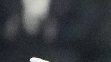 El pateador novato Tyler Loop se lamenta luego de fallar el gol de campo que habría enviado a los Ravens de Baltimore a los playoffs. Pittsburgh sobrevivió para ganar la División Norte de la AFC.