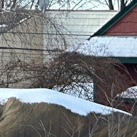 El 7 de enero de 2026, un agente de ICE mató a Renee Nicole Good en Minneapolis.