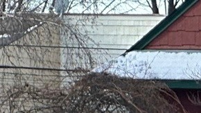 El 7 de enero de 2026, un agente de ICE mató a Renee Nicole Good en Minneapolis.