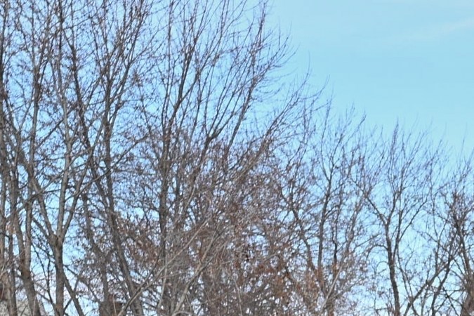 Caucus Hispano del Congreso exige que ICE salga de las calles tras tiroteo mortal en Minneapolis